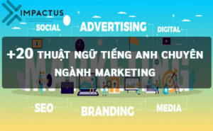 Thuật ngữ tiếng anh chuyên ngành marketing|Tiếng Anh chuyên ngành Marketing